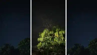lluvia de estrellas ilumina el cielo de palenque durante la madrugada