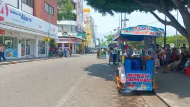 Micronegocios sostienen el empleo en Chiapas; comercio, construcción e industria registran crecimiento
