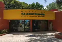 museo de paleontología de chiapas, un viaje de 300 millones de años por la historia natural del estado