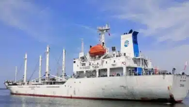 puerto chiapas se consolida como soporte logístico de la línea k