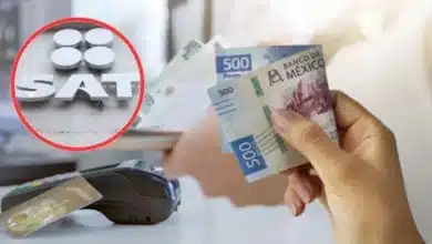 sat chiapas ofrece 100 de descuento en multas y recargos ¿cómo saber si tienes un adeudo