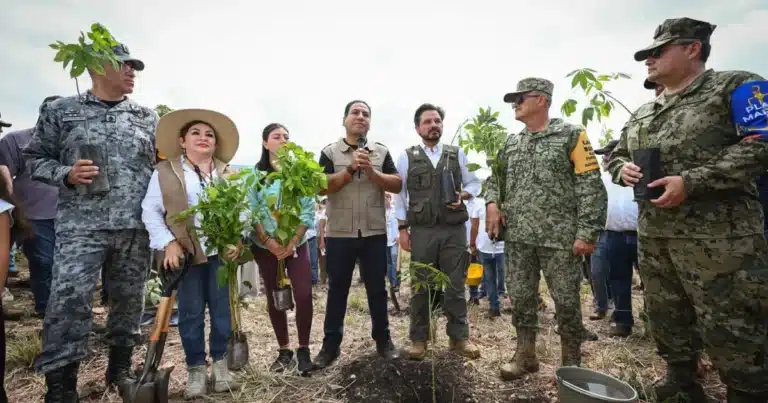 siembra chiapas más de un millón de árboles