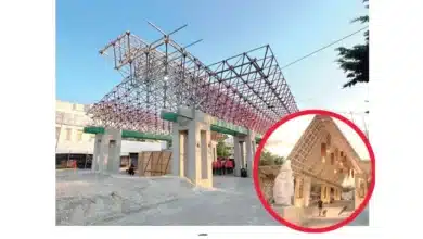 transforman el abandono en esperanza