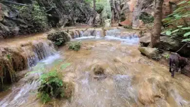 cañón del caracol, el impresionante teatro natural de luz y sombras escondido en sonora