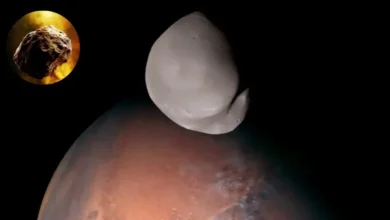 Cómo el impacto de un asteroide remodeló a Deimos y transformó la luna de Marte (Foto UAE)