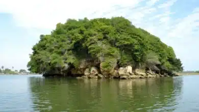 el farallón, veracruz el islote rodeado de leyendas sobre tesoros piratas