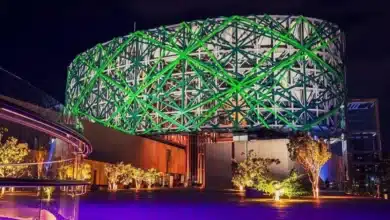 Gran Museo del Mundo Maya en Yucatán es un espectacular árbol de ceiba (Foto de Gran Museo del Mundo Maya de Mérida)