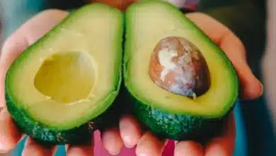 Se necesita reabrir frontera al aguacate mexicano a la brevedad (Foto de internet)