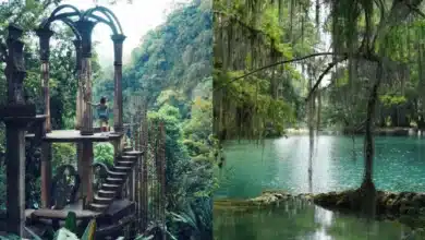Xilitla te hace viajar a otro mundo ¿Cómo llegar? (Fotos de internet y Unsplash)
