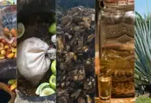 La armonía del agave destilados artesanales en la mesa gourmet (Fotos Mariana CastilloFood & Wine en Español, Wikipedia, Cortesía, Visita Puerto Vallarta y Oaxaca Mezcal)
