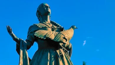 lucha villa la cirugía que la alejó de los escenarios