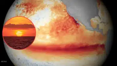 océanos del planeta alcanzan nueva temperatura récord mientras el niño se intensifica