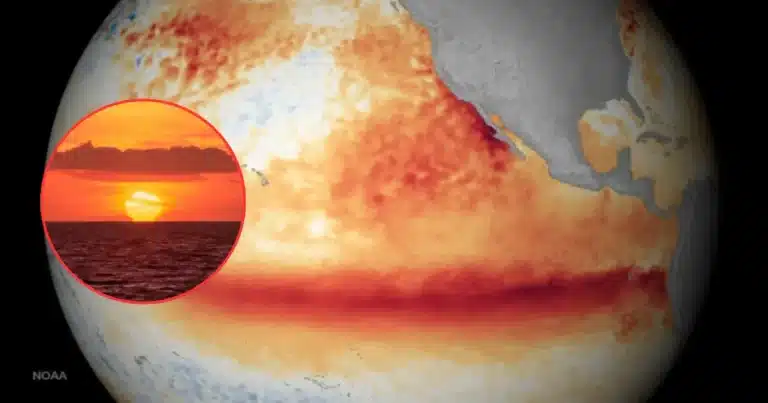océanos del planeta alcanzan nueva temperatura récord mientras el niño se intensifica