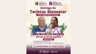 pensión mujeres bienestar consulta con curp cuándo recoger tu tarjeta