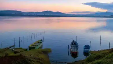 presa el tejocotal un destino de bosque, lanchas y truchas para disfrutar hidalgo