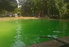 alberca cerro hueco, un oasis para disfrutar en tuxtla
