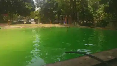 alberca cerro hueco, un oasis para disfrutar en tuxtla