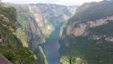 cañón del sumidero la majestuosa puerta natural de chiapas que enamora al mundo