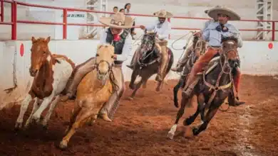 Chiapas Muy Charro 2026: fecha, sede y actividades en Ocosingo