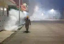 chiapas acumula 211 casos de dengue en 2026 ocupa el sexto lugar nacional