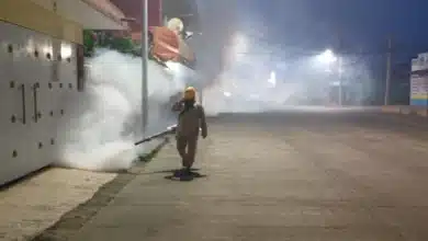 chiapas acumula 211 casos de dengue en 2026 ocupa el sexto lugar nacional