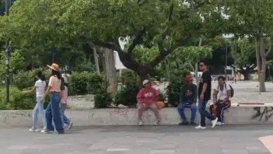 chiapas, entre los estados con menor tasa de suicidios en méxico durante 2025