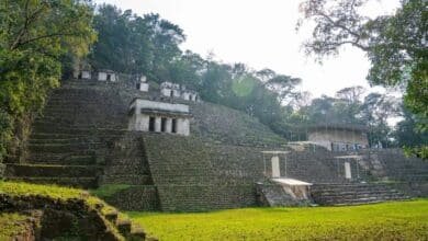 chiapas fortalece su liderazgo turístico en el sustainable & social tourism summit