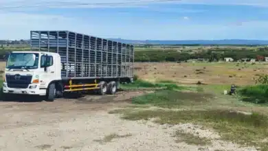 clausuran parcialmente lavado de camiones pecuarios en la trinitaria