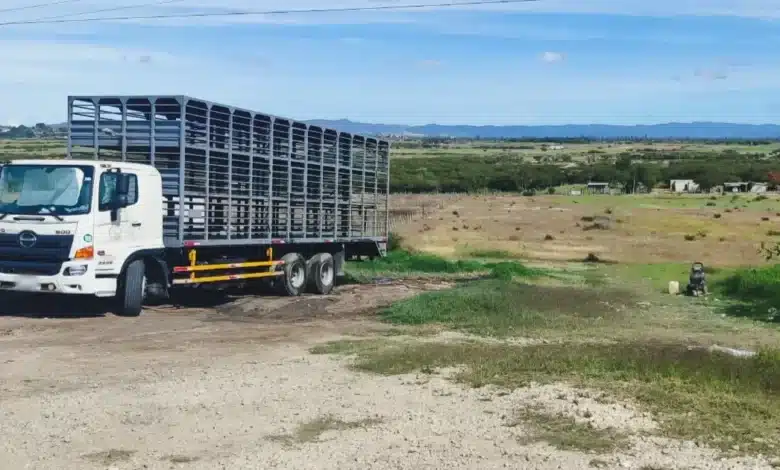 clausuran parcialmente lavado de camiones pecuarios en la trinitaria