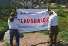 dos predios fueron clausurados por afectaciones a vegetación dentro de zonas protegidas en chiapas