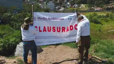 dos predios fueron clausurados por afectaciones a vegetación dentro de zonas protegidas en chiapas