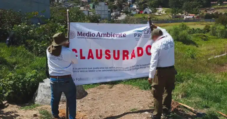 dos predios fueron clausurados por afectaciones a vegetación dentro de zonas protegidas en chiapas