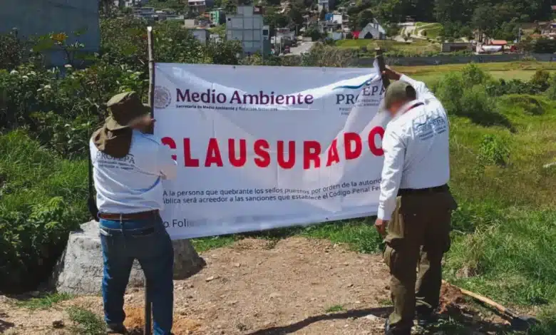 dos predios fueron clausurados por afectaciones a vegetación dentro de zonas protegidas en chiapas