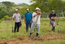 Chiapas recibe beneficios de los Programas del Bienestar para el campo (Foto de internet)