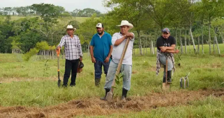 Chiapas recibe beneficios de los Programas del Bienestar para el campo (Foto de internet)