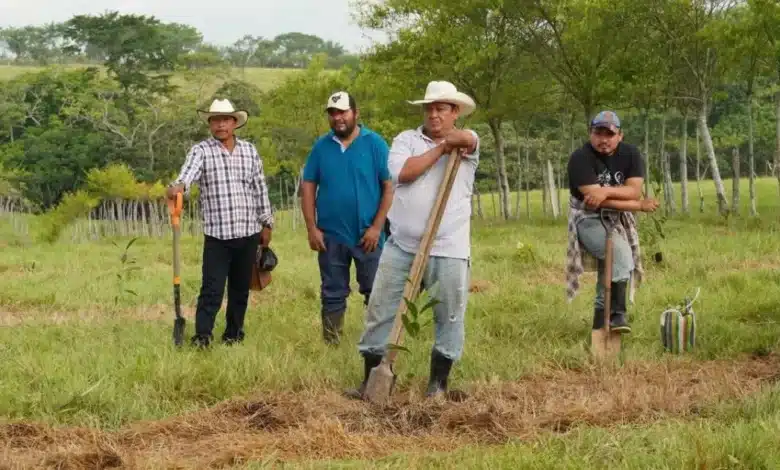 Chiapas recibe beneficios de los Programas del Bienestar para el campo (Foto de internet)
