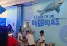 museo de la niñez, una opción para aprender y divertirse en familia