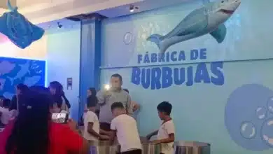 museo de la niñez, una opción para aprender y divertirse en familia