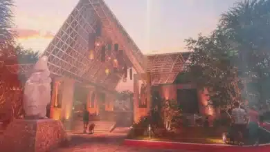 parque bonampak estará listo en noviembr