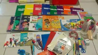 siete de cada diez negocios reportaron un aumento en sus ventas durante la temporada de regreso a clases
