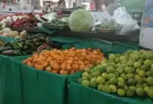 sin recuperación económica tras el regreso a clases refieren comerciantes