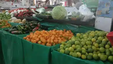 sin recuperación económica tras el regreso a clases refieren comerciantes