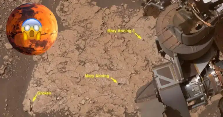 Descubren en Marte barro agrietado que revela ciclos antiguos de humedad y sequía (Foto Nasa)