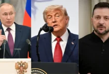 Trump pide a Putin acelerar el fin de la guerra con Ucrania (Fotos de internet)