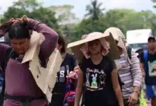 al menos 5 mil migrantes permanecen varados en chiapas sin recursos