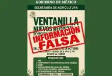 alertan a productores chiapanecos por falsas convocatorias de apoyos al campo