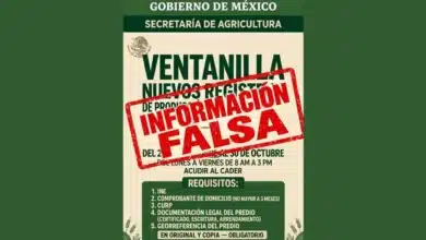 alertan a productores chiapanecos por falsas convocatorias de apoyos al campo