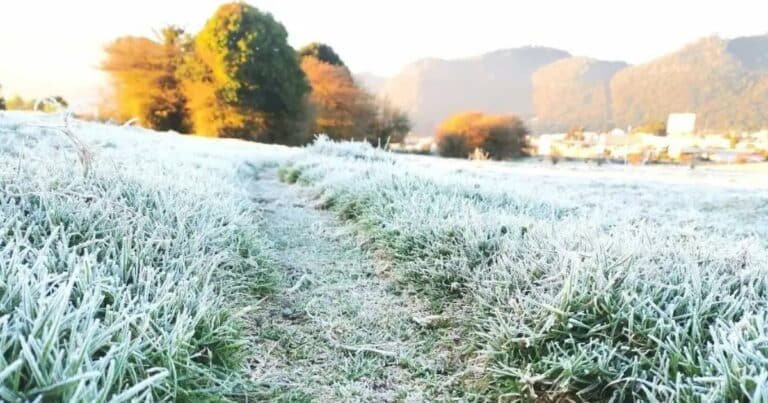 bajas temperaturas en san cristóbal, se registran hasta 4 grados celsius