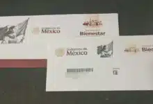 beneficiarios del bienestar en chiapas podrán transferir sus apoyos a cuentas bbva desde el celular