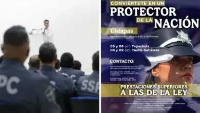 buscan protectores de la nación en chiapas